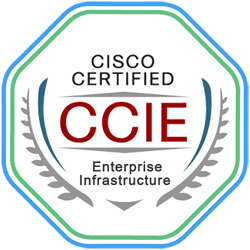 CCIE Enterprise Infrastructure v1.1