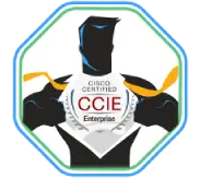 CCIE Enterprise Infrastructure Zero To Hero Program
